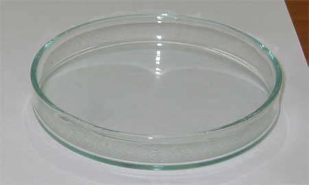 Glass Petri dish