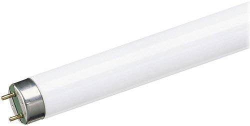 Wendy Fluorescent Lamp - 4ft