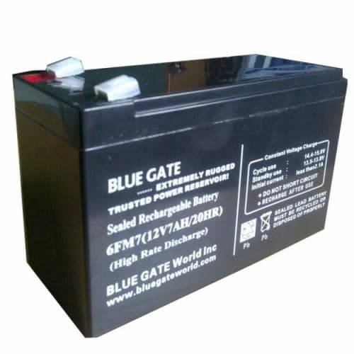 BLUEGATE UPS Battery
