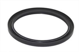 Perkins Oil Seal,2418F475