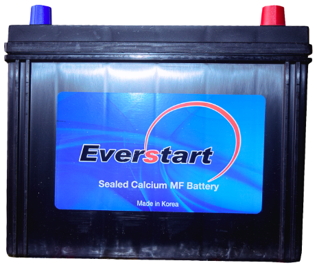 Everstart 100ahms battery