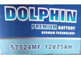Dolphin Car Battery