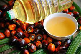 Palm Kernel Oil