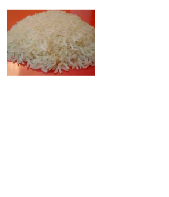 Rice (sls)