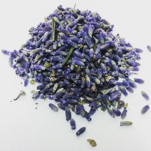 Lavender Bud