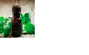 Peppermint Oil