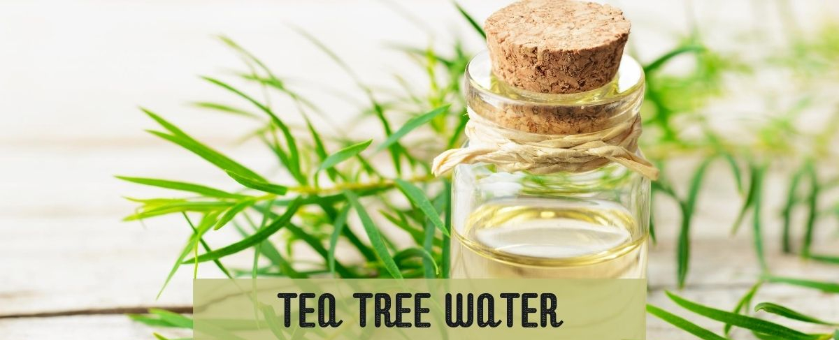Tea Tree water