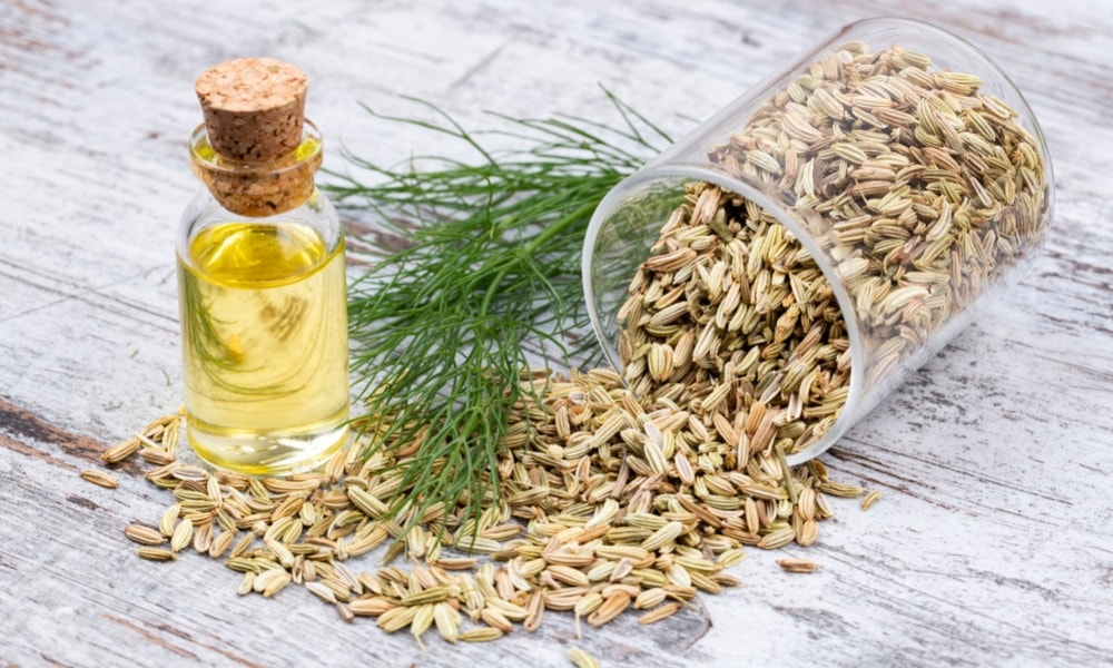 Fennel Oil