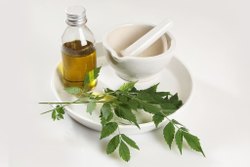 Neem Oil