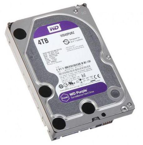 WD 4TB Surveillance Hard Disk Drive | WD40PURZ