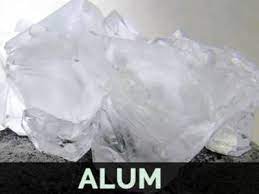 Alum