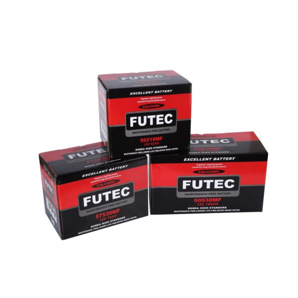 Futec maintenance free battery